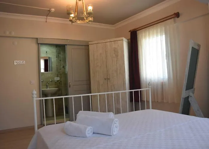 Queen Bee 住宿加早餐酒店 塞尔丘克