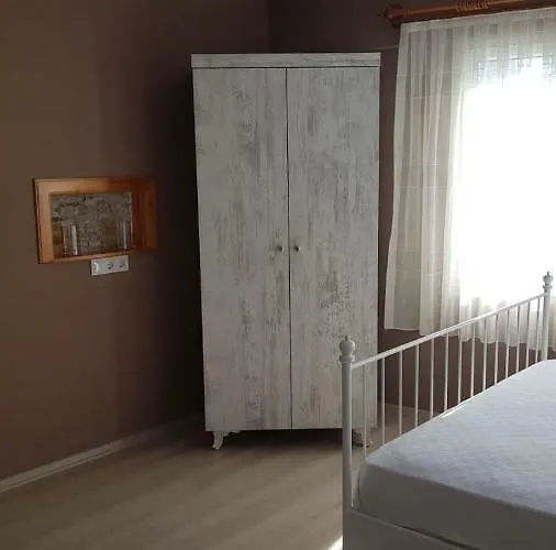 Queen Bee 塞尔丘克