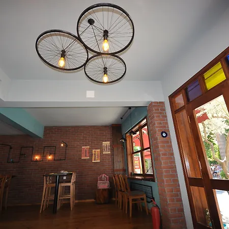 Queen Bee 住宿加早餐酒店 塞尔丘克