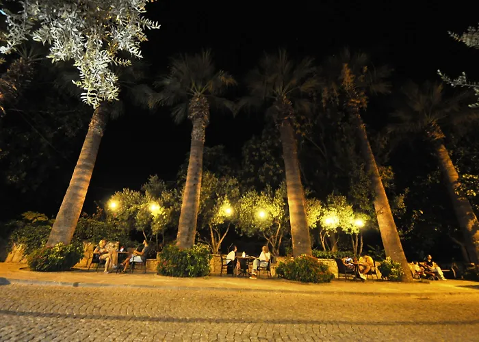 B&B Queen Bee 셀주크