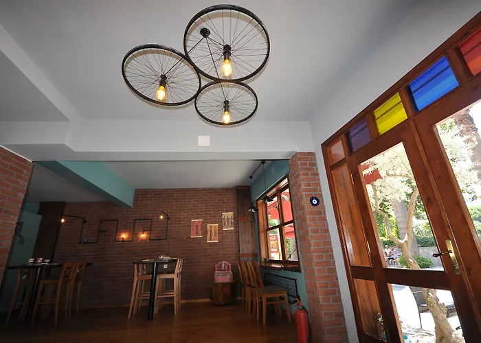 Queen Bee B&B 셀주크