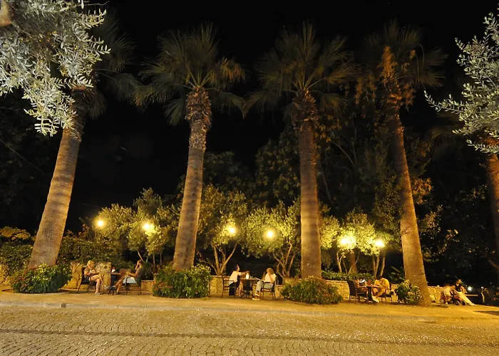 Queen Bee 3* 셀주크